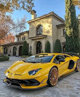 Yellow Lamborghini Aventador parked before a beige stucco villa with arched windows and cypress trees