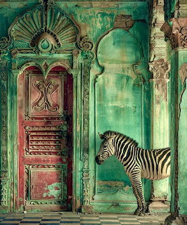 Zebra at Vintage Door