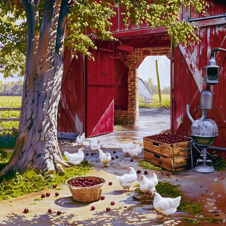 Red barn with chickens and crates in dappled sunlight