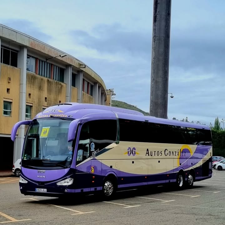 Purple and gold Alosa Costa Azul tour bus parked outdoors