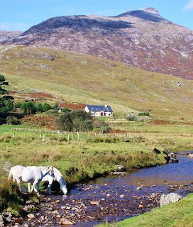 White horse by a stream with a cottage and mountain hillside behind