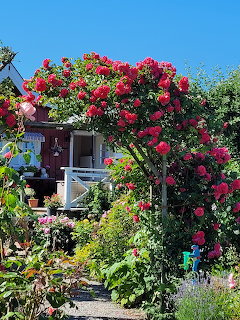 Cottage with red rose-covered archway over entrance, surrounded by garden plants and blue sky
