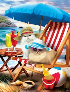 Beach Cats