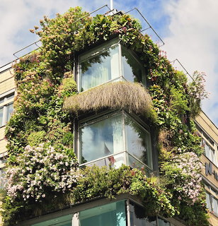 Corner of a building wrapped in vines and flowering plants with large windows