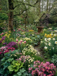 Colorful spring garden with tulips and flowers around a wooden cottage in a forest setting