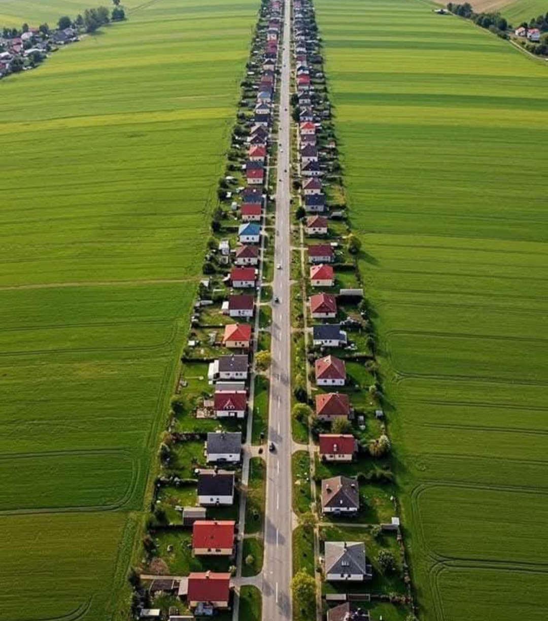 Aerial drone view of a straight road with houses on both sides surrounded by green farmland
