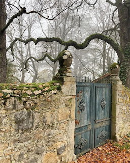Ancient stone gateway with blue wooden doors in misty woodland with gnarled tree branches