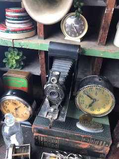 Vintage bellows camera surrounded by antique clocks, film reels, and suculents on wooden shelves