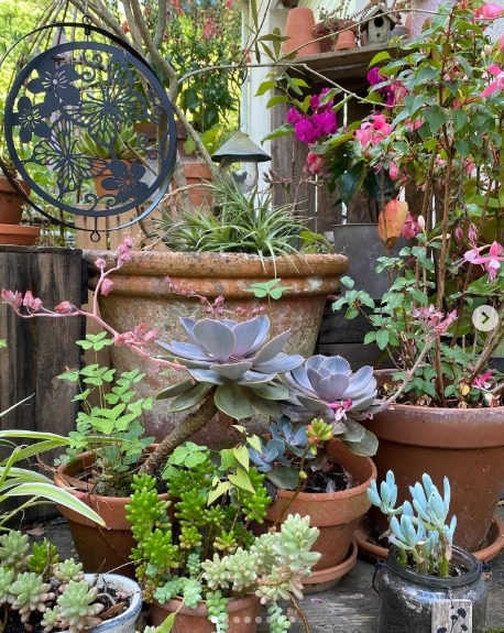 Potted Plants Paris Balcony