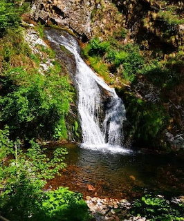 Waterfall cascading over rocks into a pool surrounded by green plants and mosy cliffs