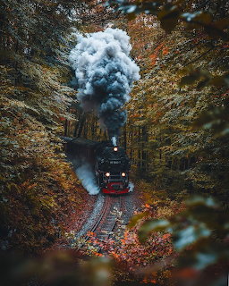 Steam train on tracks through autumn forest with white smoke billowing