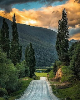 Gravel road lined with tall cypress trees leading toward green mountains under a dramatic sunset sky