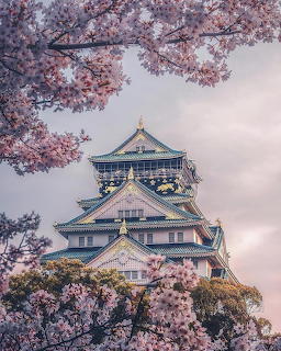 Multi-tiered Japanese castle surrounded by pink cherry blossom branches in spring