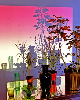Still life painting with plants, vases and glassware on table with pink purple background