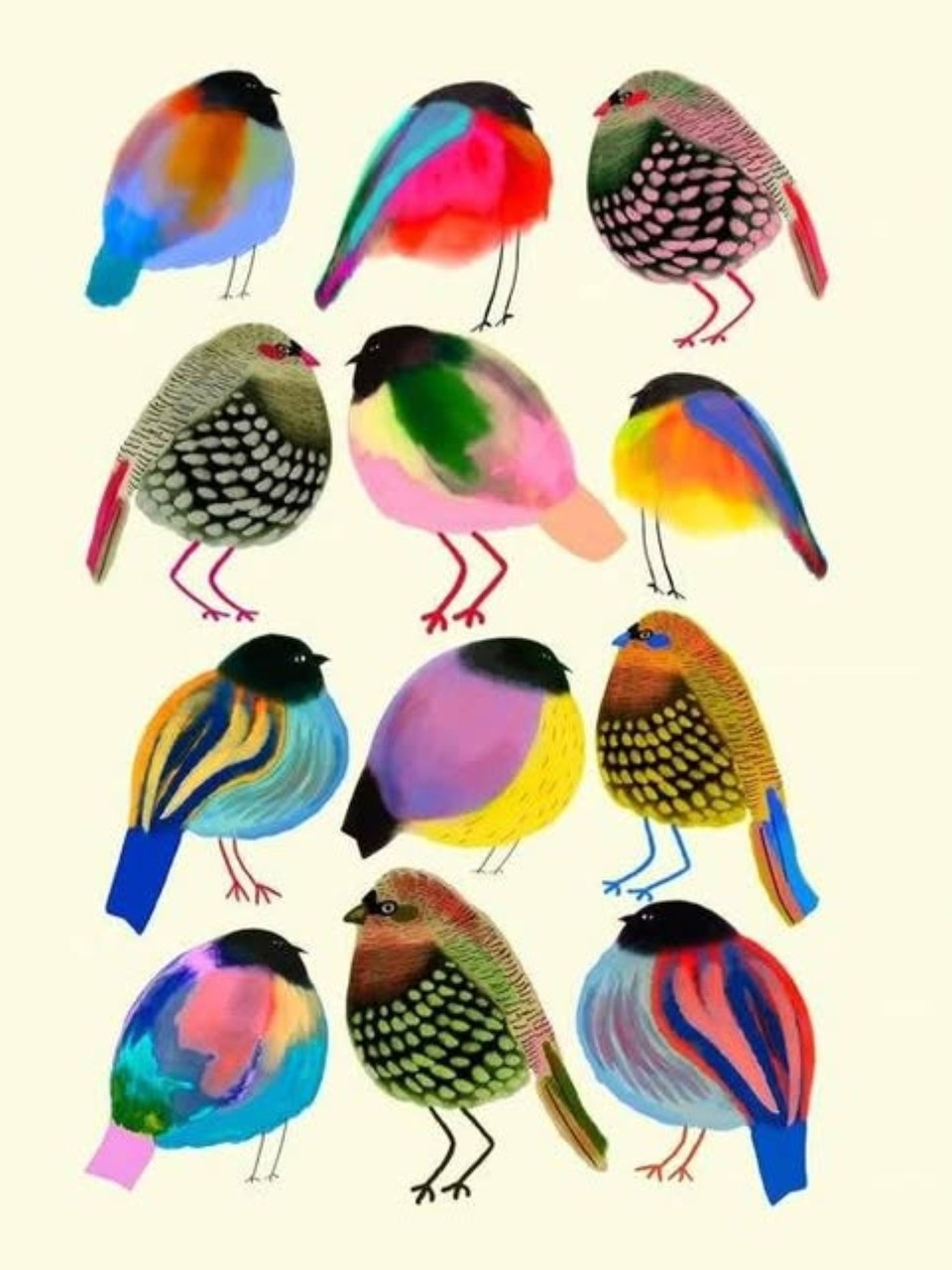 Twelve colorful illustrated birds with rainbow feathers arranged in rows on cream background