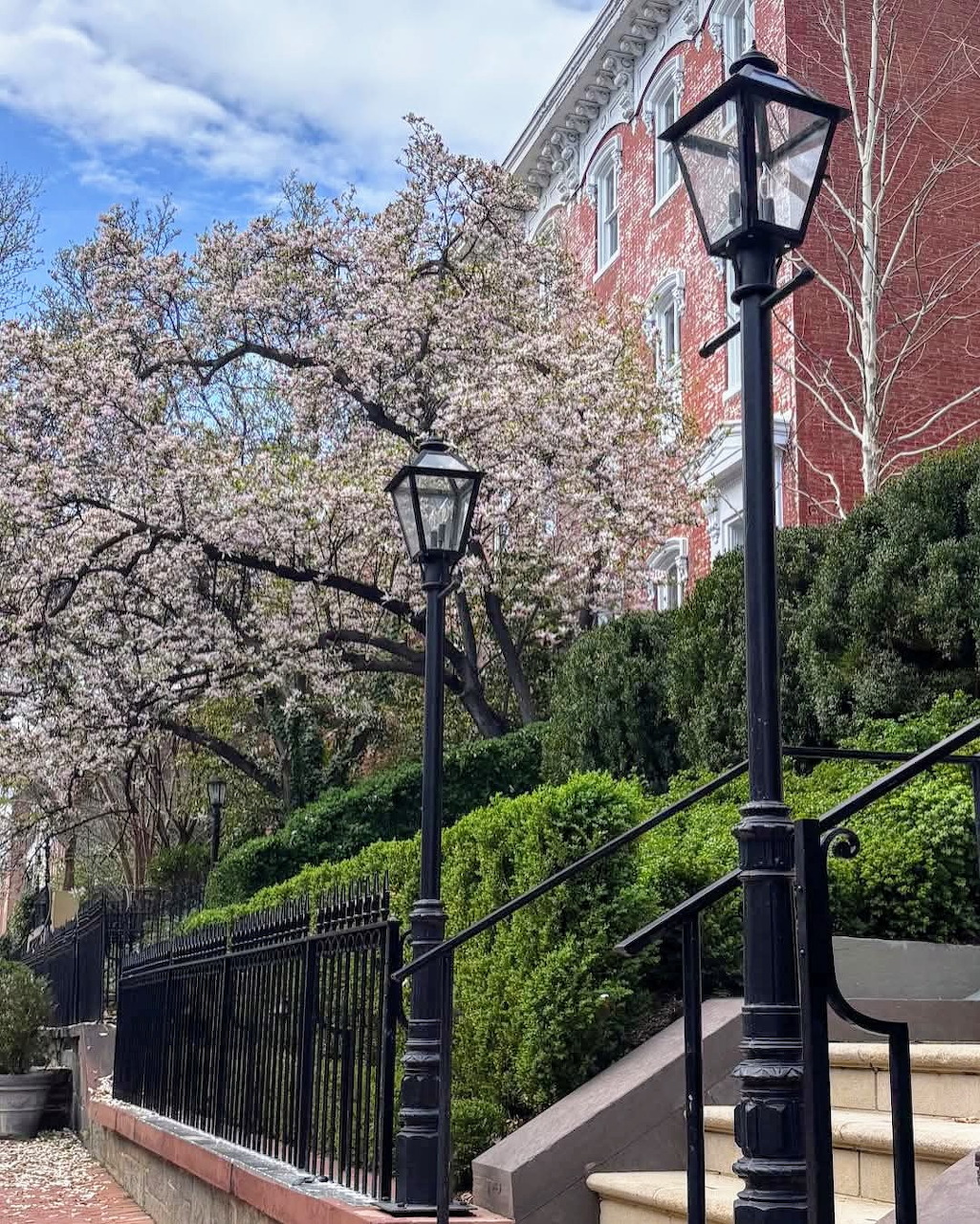 Georgetown Washington D.C. in Spring