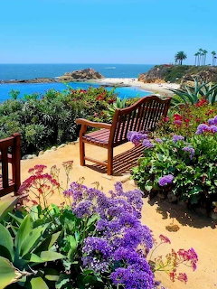 Wooden bench on a garden overlook with purple flowers and ocean bay view