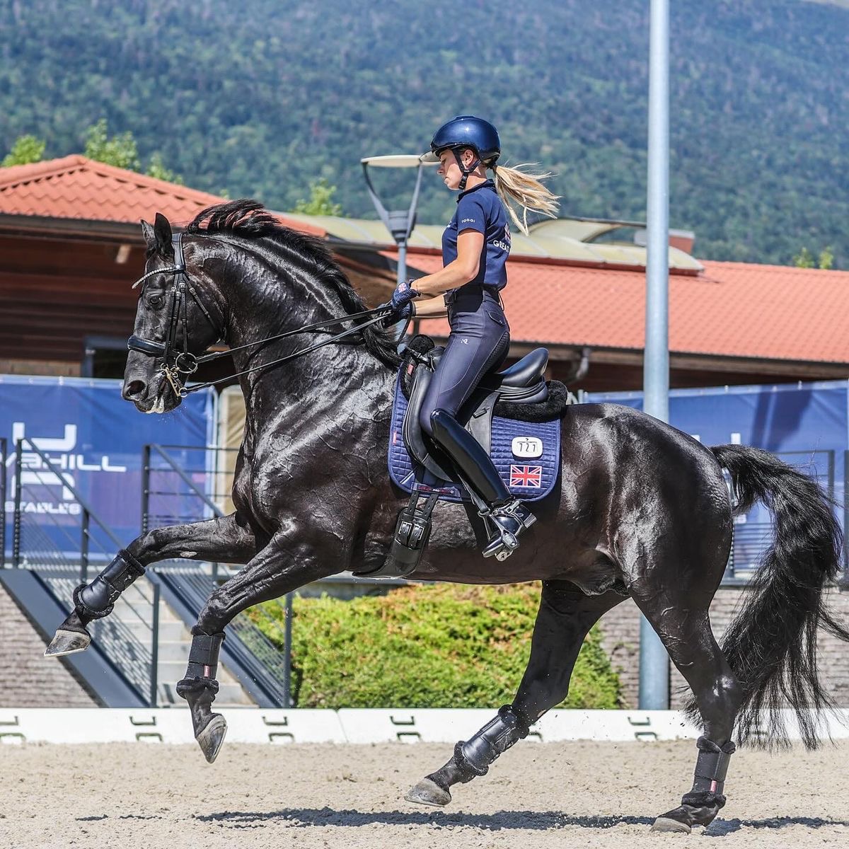 Black dressage horse and rider in blue uniform performing in outdoor arena with mountain backdrop