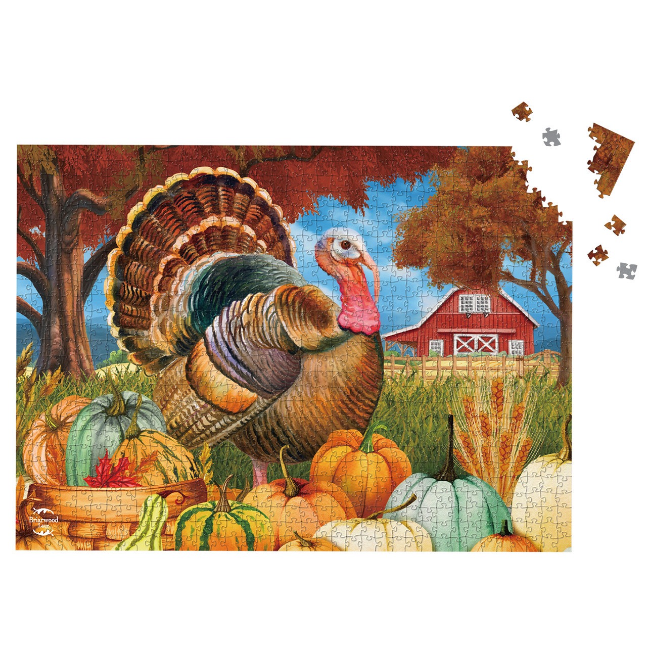 Illustrated turkey with pumpkins, gourds, and a red barn in an autumn farm scene