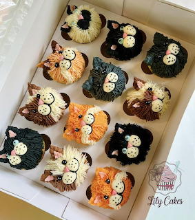 Box of 12 cat face cupcakes with textured frosting in various colors including black, orange, and cream