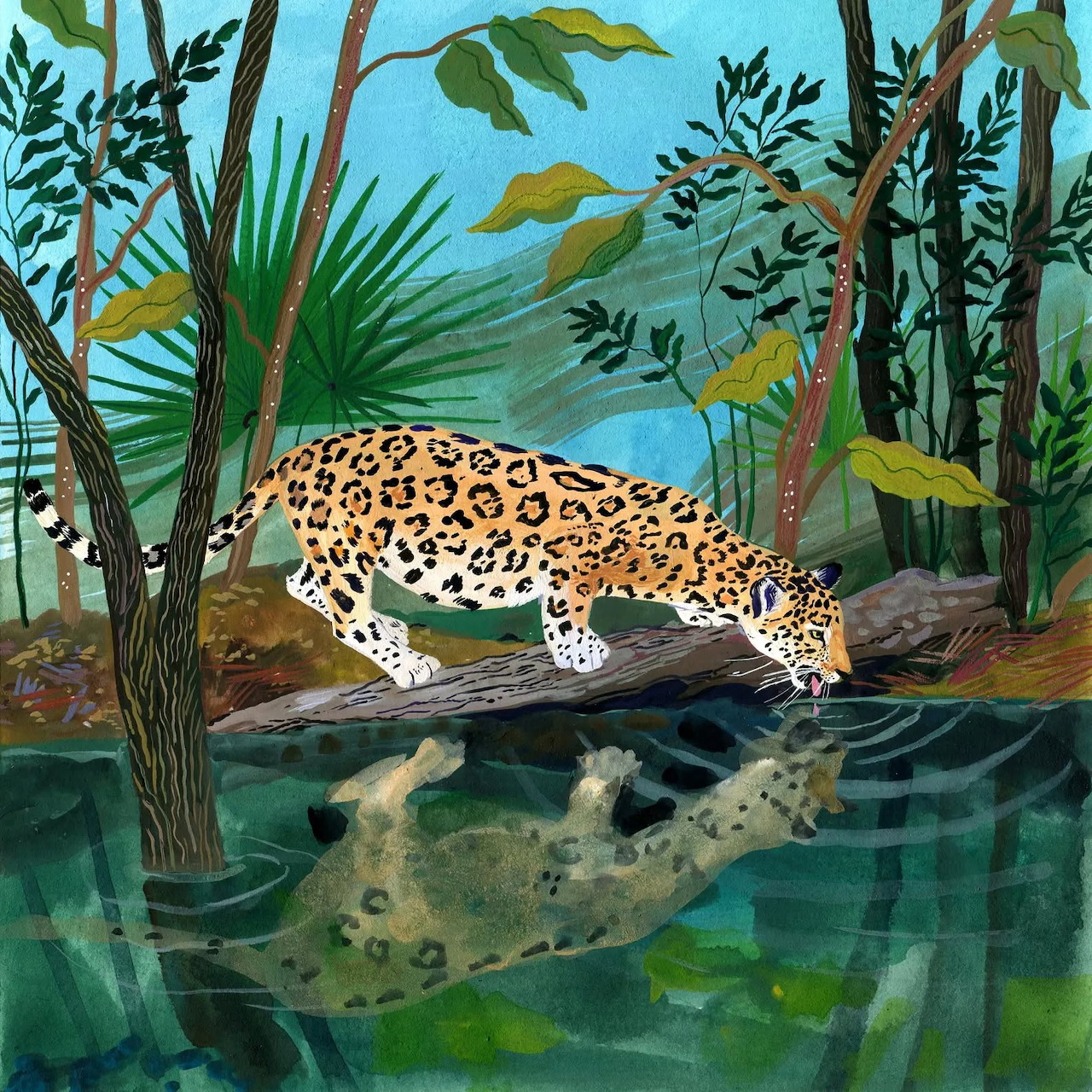 Leopard by Water