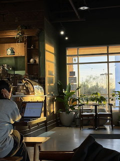 Person studying on laptop inside a warmly lit cafe with large windows and indoor plants