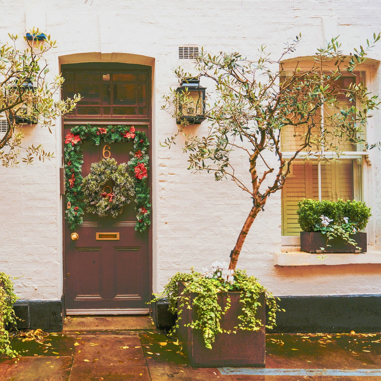 Green door with floral wreath next to small tree and window on white wall with flower pots