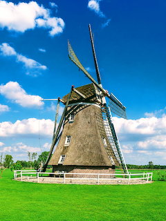 Traditional Dutch windmill with thatched walls on green grass under a blue sky with white clouds