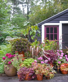 Beautiful Container Garden