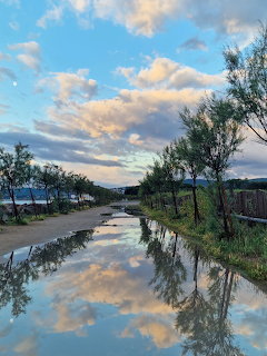 After Rain Pudle Reflections
