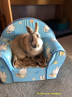 Grey and white rabbit sitting on a small blue patterned children's armchair with a brown blanket