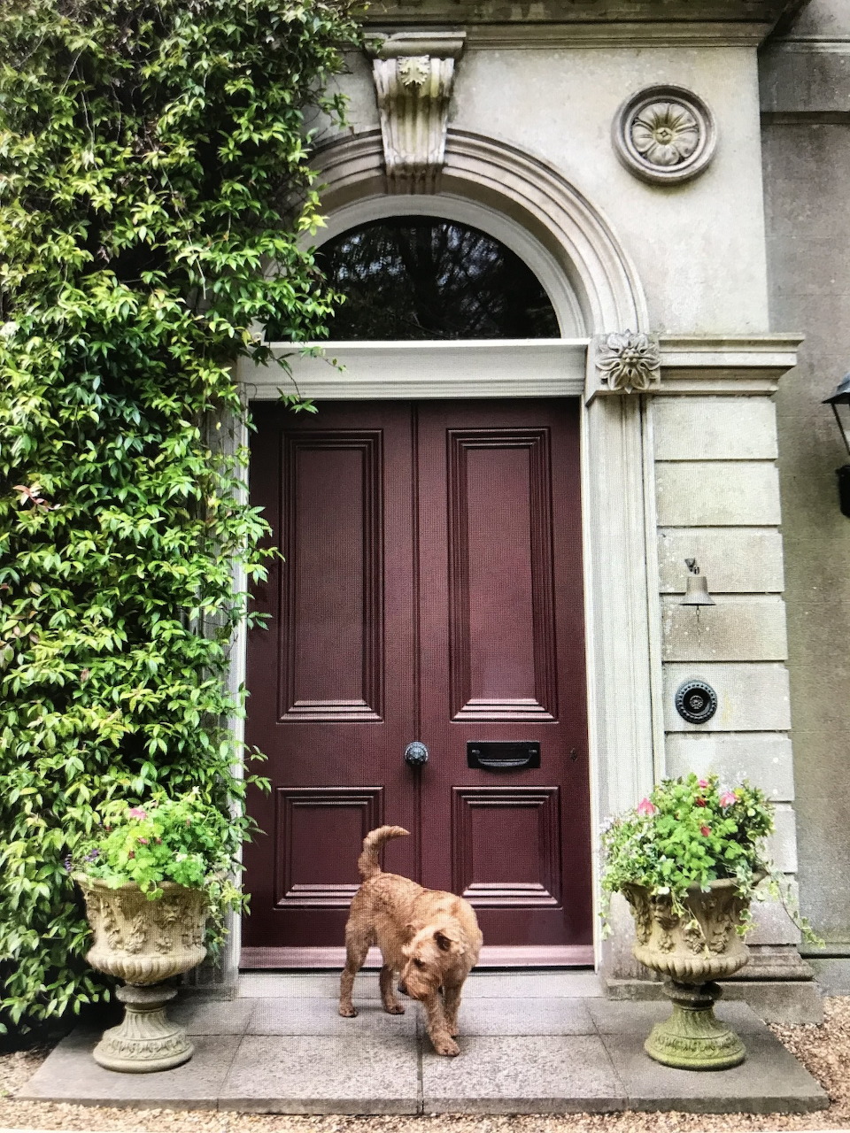 Dog at Elegant Doorway