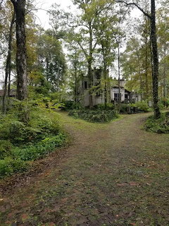 Forest Path to Cottage