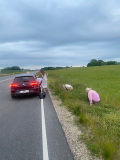Person and child beside red car on country road with green field