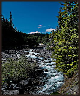 White water river rapids flowing through a green coniferous forest valley under blue sky