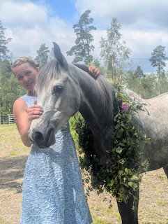 Gray Horse and Girl