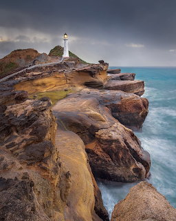 Seagull standing on striated brown rock cliff overlooking turquoise ocean under cloudy sky
