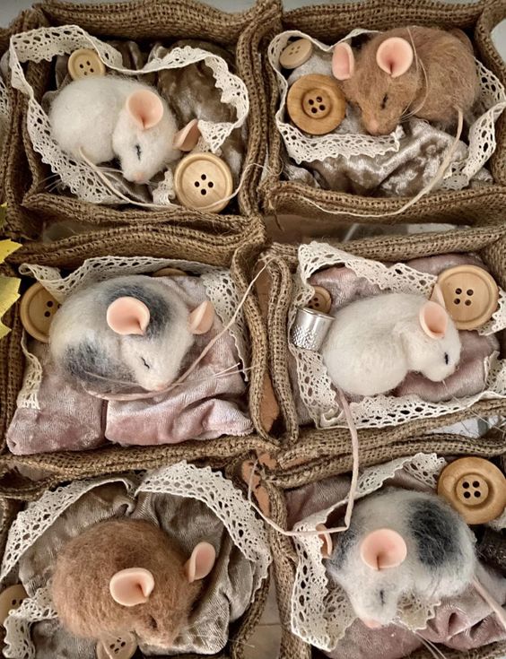 Collection of woven bird nests containing small eggs