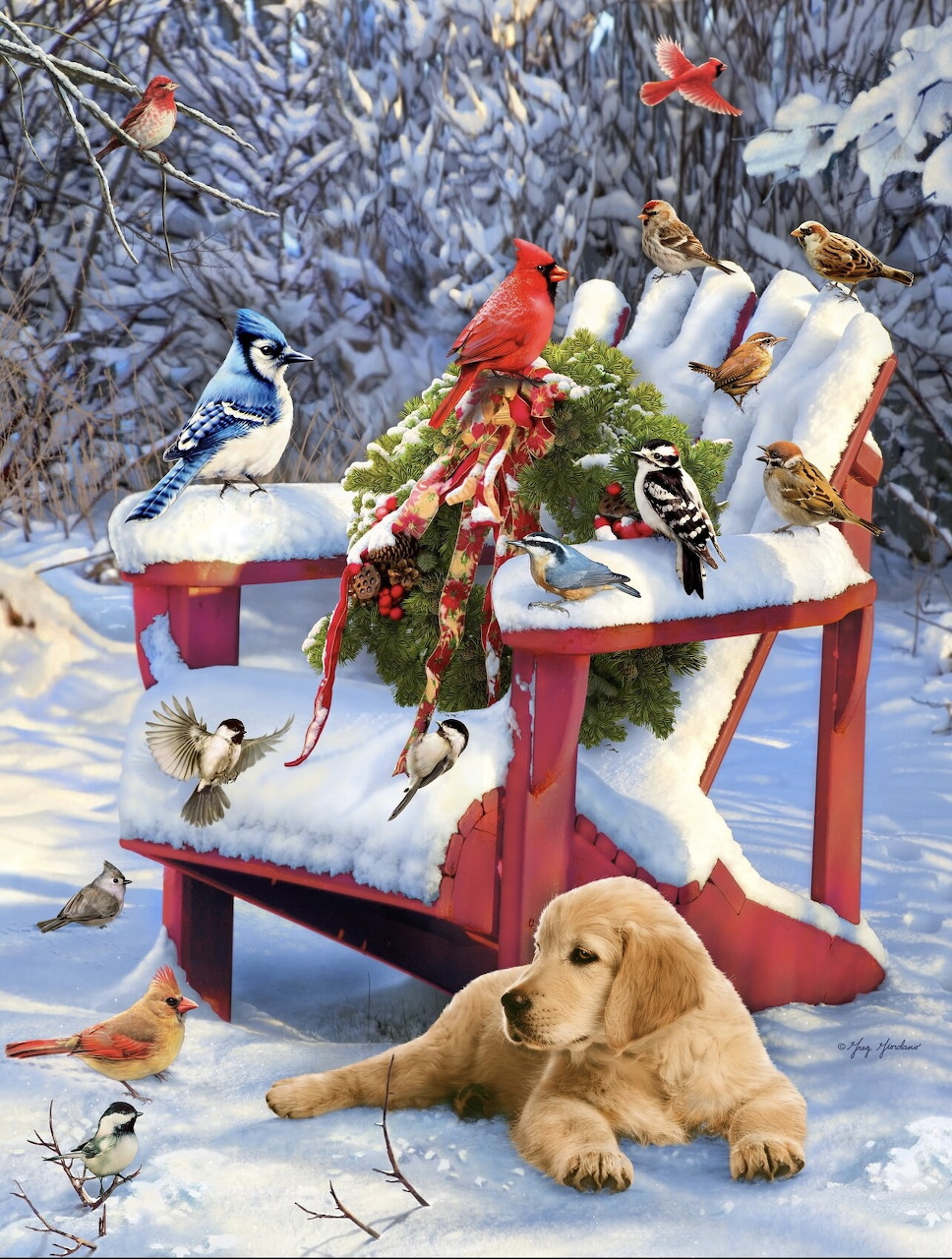 Cardinals, blue jays and other birds on snowy red bench with puppy in winter forest