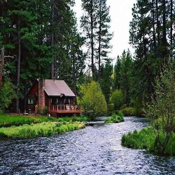 Wooden cabin beside a river in a pine forest