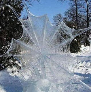 Frozen spider web covered in ice in a snowy outdoor winter scene