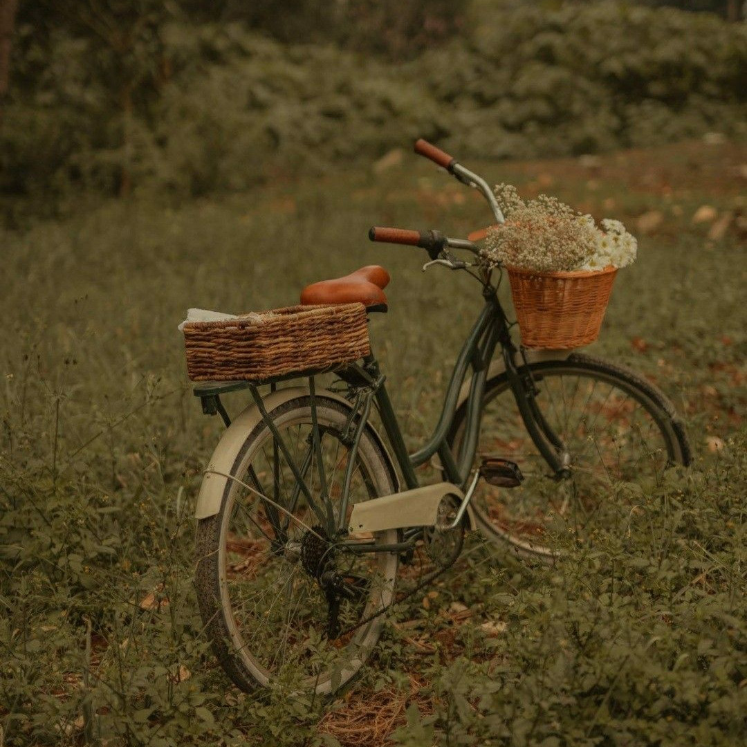 Vintage bicycle with wicker baskets in a grassy field