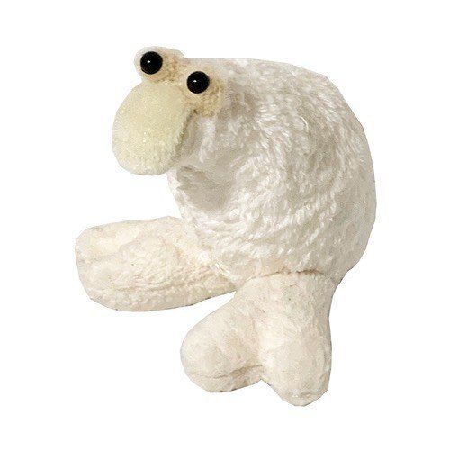 White plush seal toy with black eyes on a white background