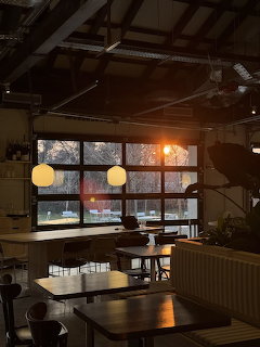 Golden Hour in a Quiet Café