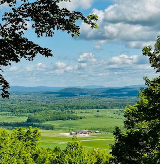 Mt Philo Summer View