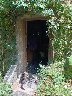 Cats at Cottage Door