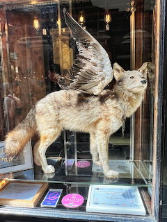 Winged Wolf Display