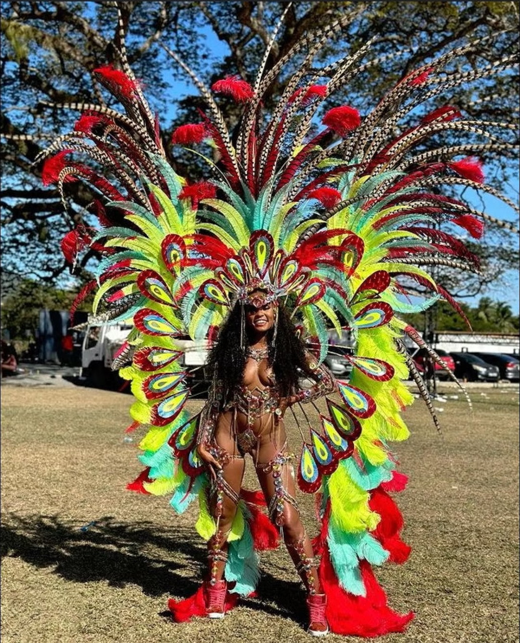 Carnival dancer wearing a massive feathered costume with colorful wings at Trinidad Carnival festival