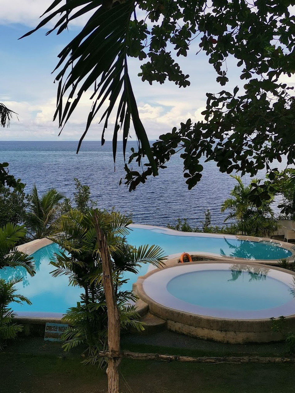 Infinity pool with ocean view framed by palm trees and tropical plants