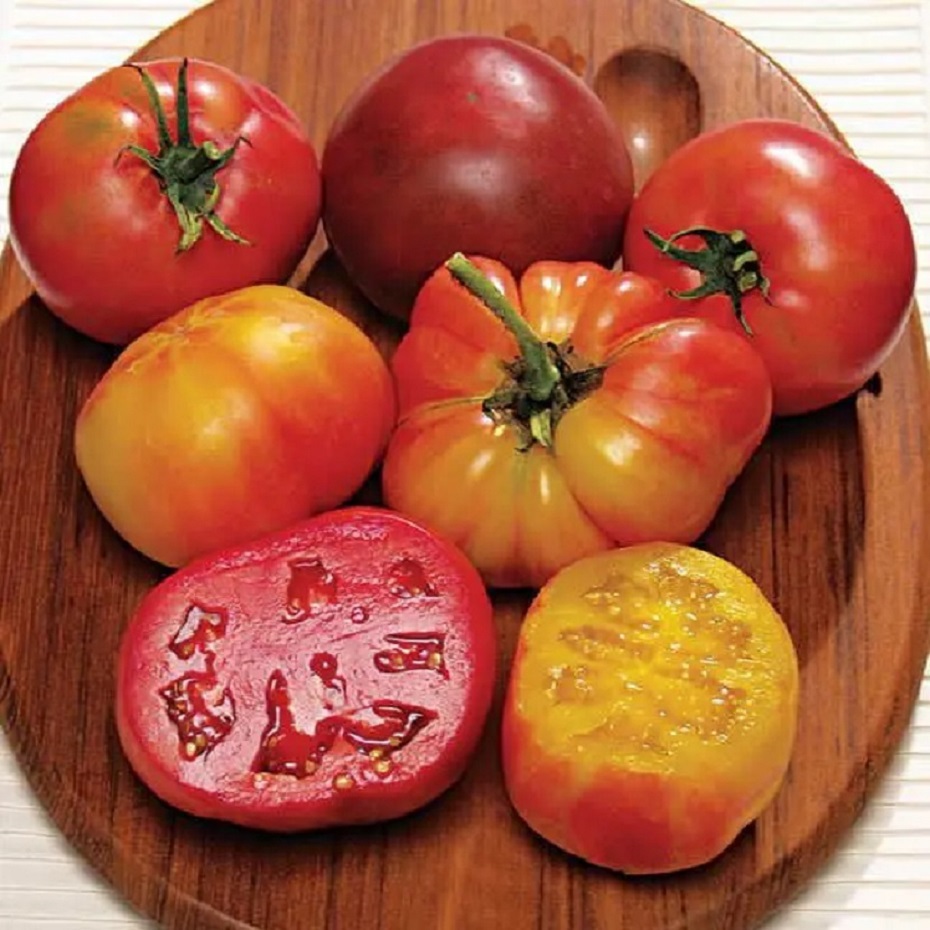 Assorted heirloom tomatoes in red, orange, and yellow on wooden board with two halves sliced open